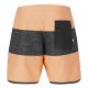 Boardshort Picture Andy 17 Brds 2023 Pumpkin