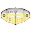 Aile Duotone Ventis 2025 C01:light-grey/yellow
