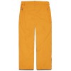 Pant Picture Plan 2025 Carrot