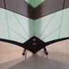 Aile occasion F-One Strike V4 5m²