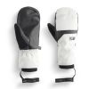 Moufles Picture Vapor Mitts 2026