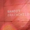 Aile Occasion F-One Bandit Brainchild 2026 8m²