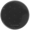 Pad Dakine Circle Spike Mat face