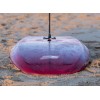 Board Evera Blast Carbon Tech